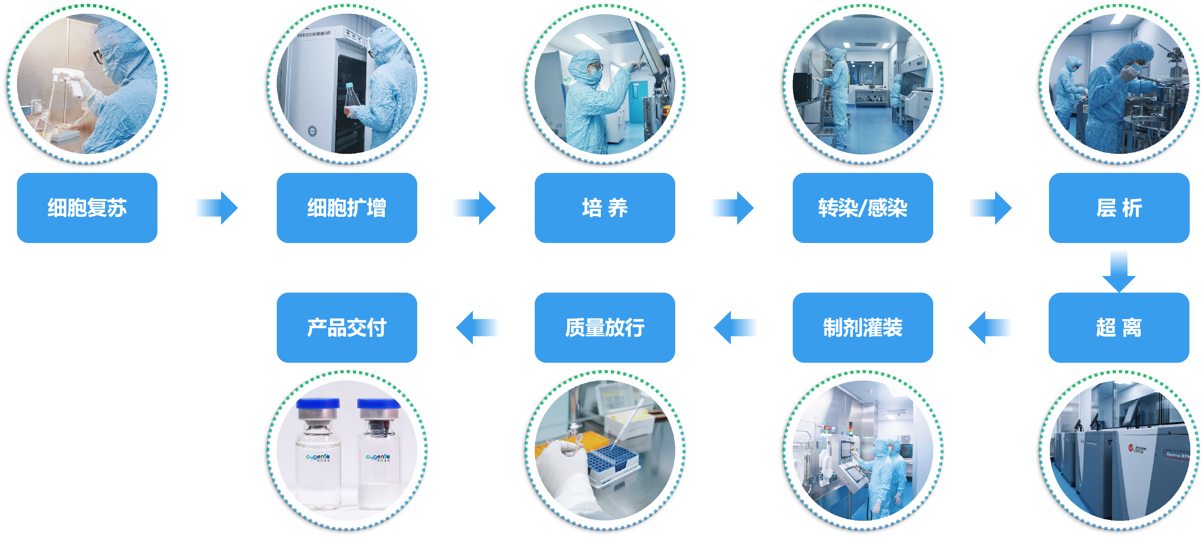 AAV原液制备流程
